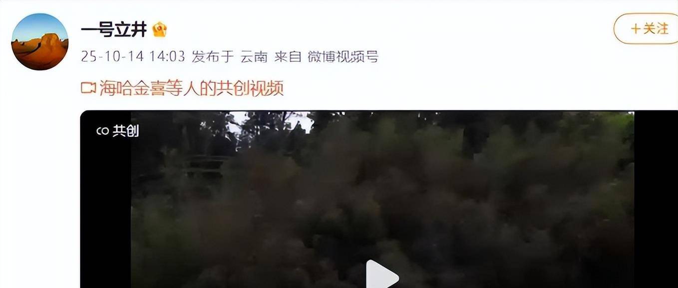 3岁夏夏哄妈妈开心新家一地玩具显拥挤开元棋牌试玩海哈金喜离婚后晒女儿！(图16)